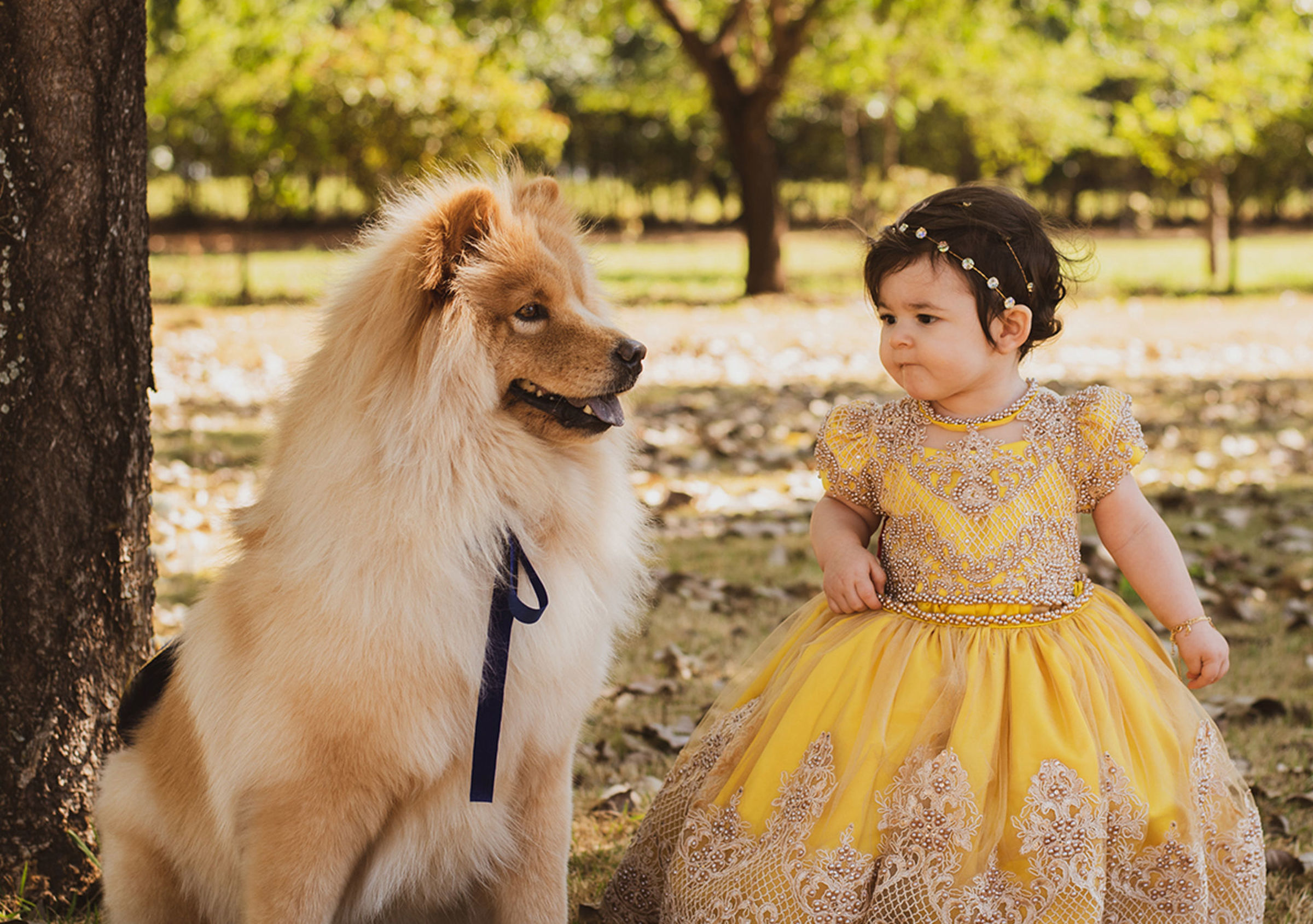 Foto de Roberto Fotografias 27