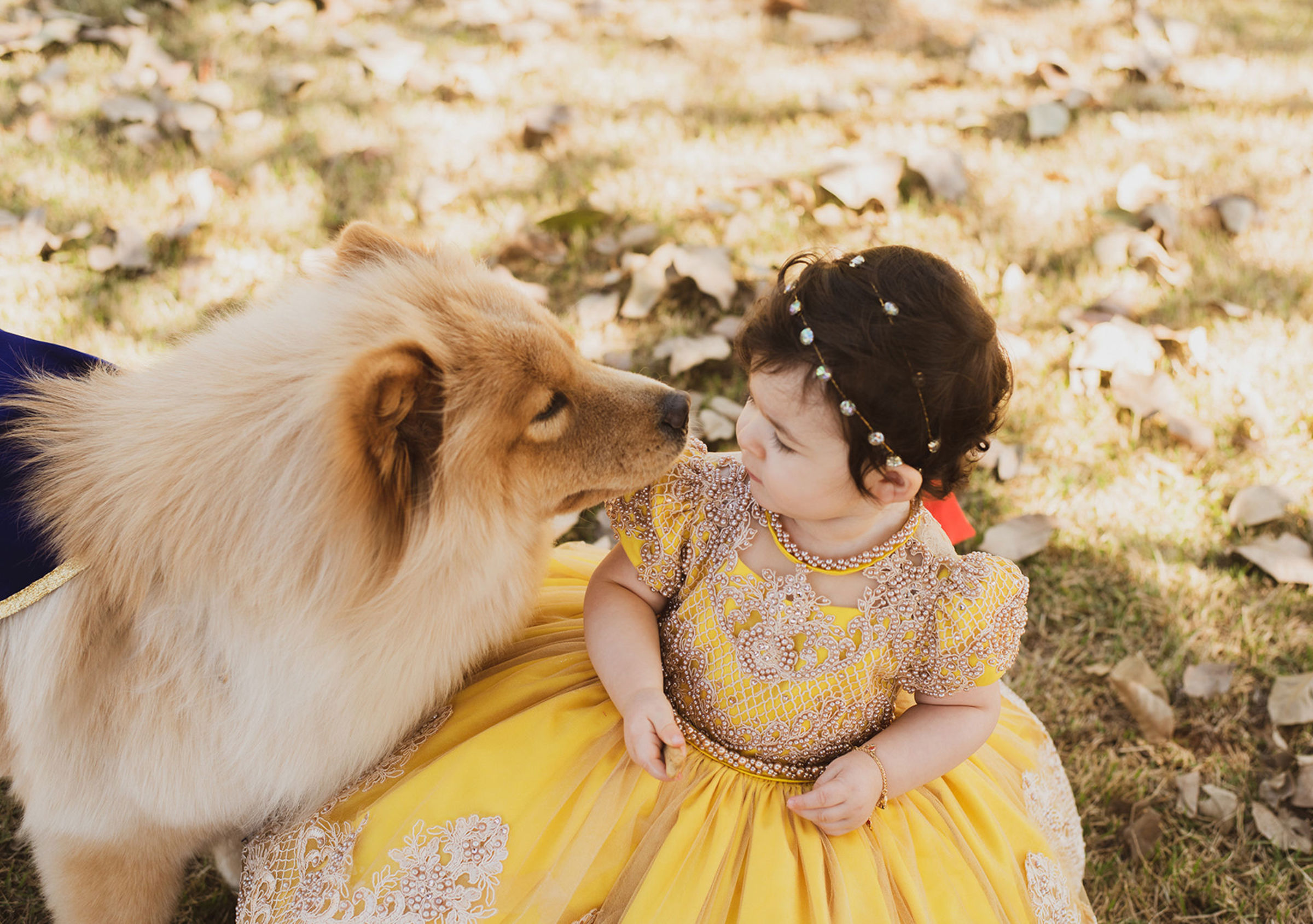 Foto de Roberto Fotografias 26