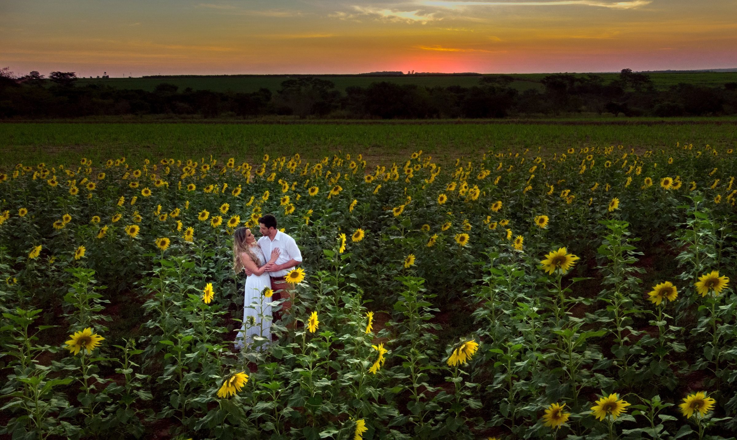 Foto de Roberto Fotografias 16