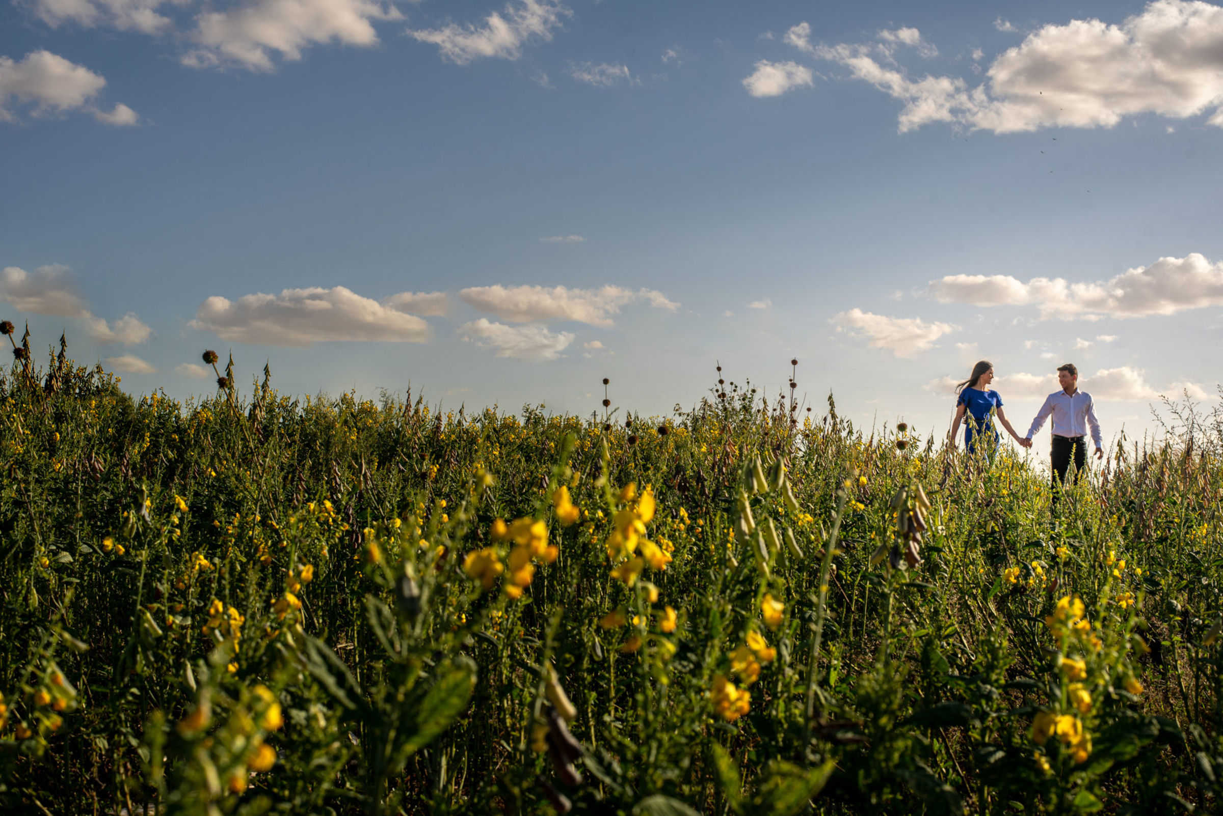 Foto de Roberto Fotografias 7