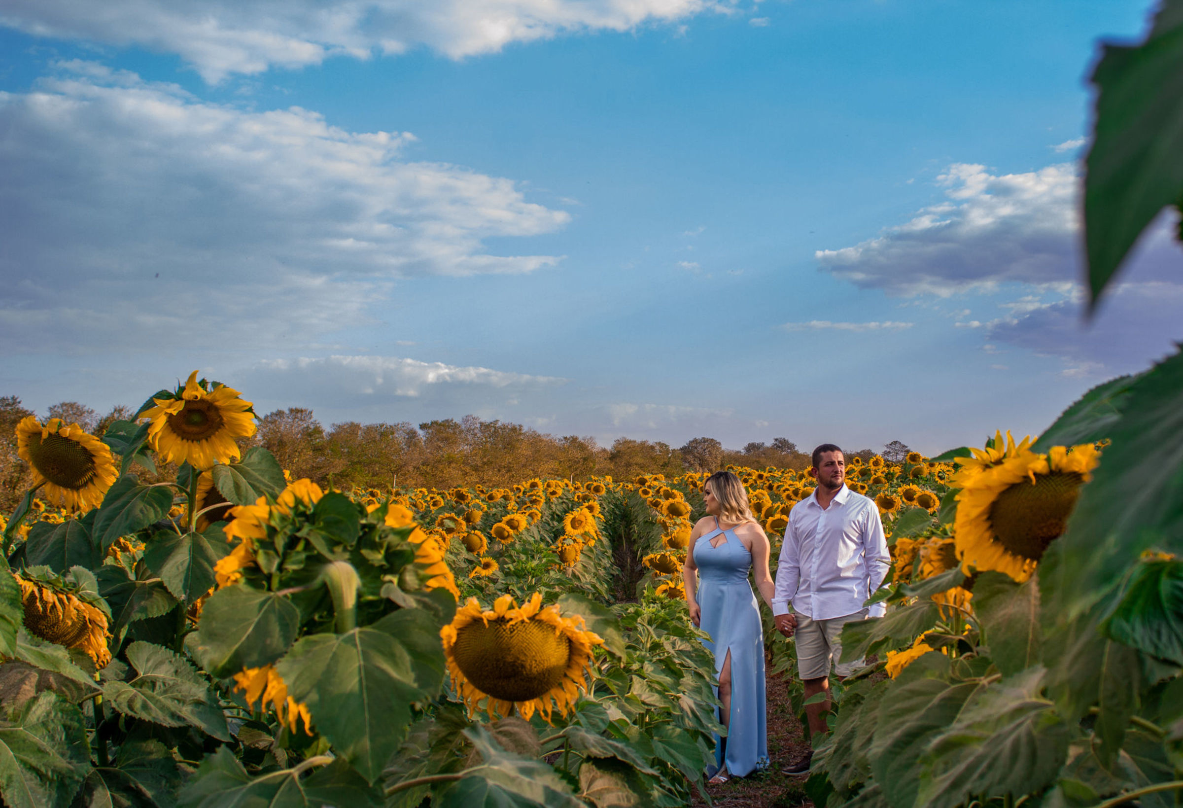 Foto de Roberto Fotografias 0